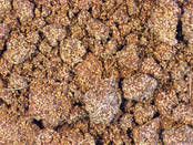 Strawberry pomace