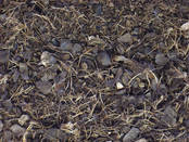 Palm kernel husks (fine)