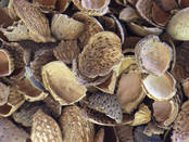 Almond shells (coarse)