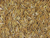 Rice husks