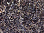 Grape pomace